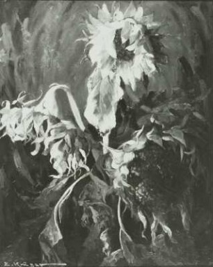 Sonnenblumen