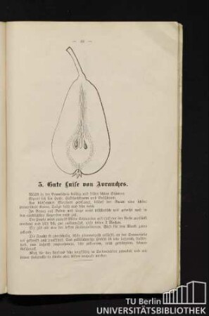 5. Gute Luise von Avranches.