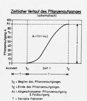 Zeitlicher Verlauf des Pflanzenaufganges (schematisch)