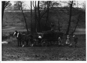 Heuernte in Leipzig-Abtnaundorf