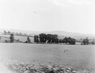 Blick aus einem fahrenden Zug in die Landschaft
