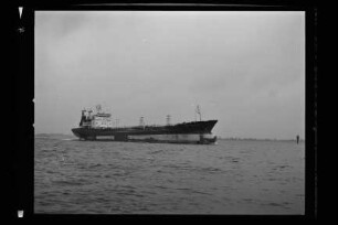 Tol Runner (1976), Intercruise, Cy