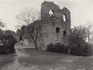 Petersberg bei Halle (Saale), Ruine der Alten Kapelle (capella vetus)