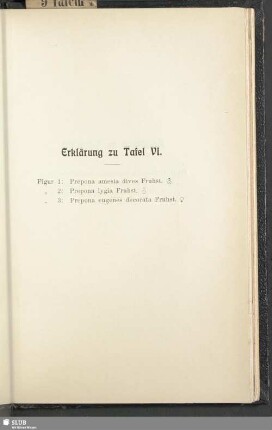 Erklärung zu Tafel VI.