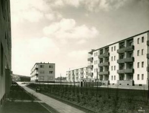 Siedlungsbauten Müllerstr. (Taut), Berlin, 1930