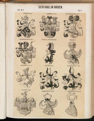 Taf. 7. Girardi (1580) - Girardi. (Fhr) - Gleichenstein (17[...]6) - Gleichenstein (Fhr.) - Göler von Ravensburg. - Harsch. - Harsch (anderes). - Helmstadt. - Helmstadt (Grf.) - Hennin (Grf.) - Hornstein (St.W.) - Hornstein (anderes)