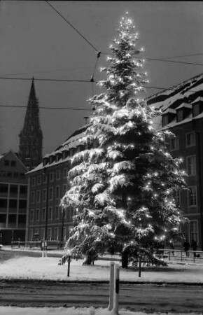 Freiburg: Platz am Siegesdenkmal, Tannenbaum mit Lichtern (allein)