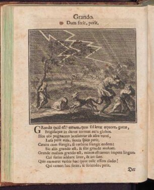 Grando - Der Hagel