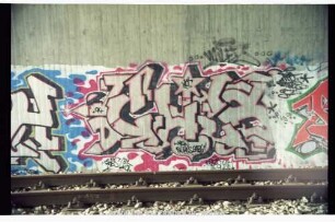 CHES