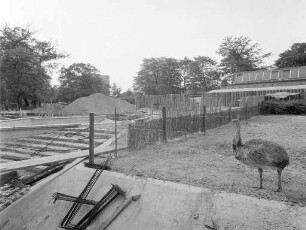 Umbaumaßnahmen im Karlsruher Zoo anlässlich der Bundesgartenschau 1967.