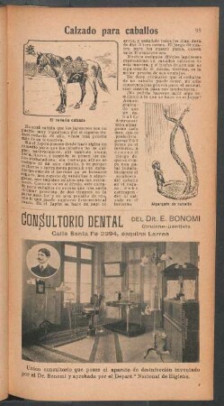 Calzado para caballos
