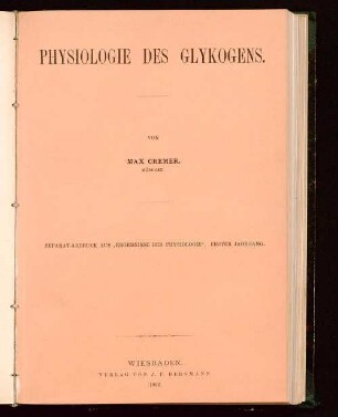 Physiologie des Glykogens