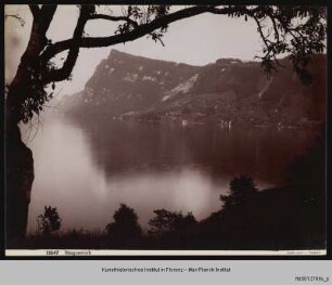 Berg Bürgenstock am Vierwaldstättersee