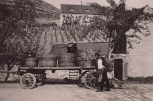 Meißen, Weinbau : Weintransport auf Rollwagen