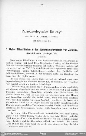 Palaeontologische Beiträge