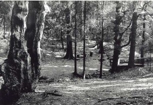 Naturschutzpark am Donoperteich; Hiddesen
