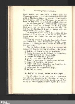 A. Äußerer und innerer Aufbau des Holzkörpers