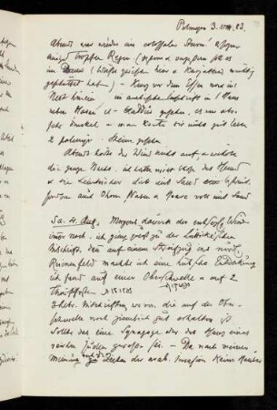 19r-21v 4.VIII.1883 Palmyra