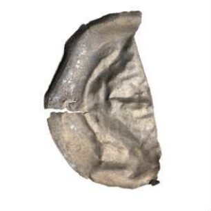 Fundmünze, Brakteat, 1230 - 1265?