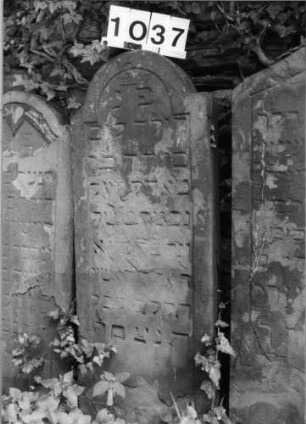 Grabstein 1037 (Index: 99630540) Material: Sandstein Zustand: stark abgeblättert mit Textverlust Maße HxBxT: 112x44x7 cm Beschreibung: Stele mit eingezogenem Rundbogenabschluß, Schriftfeld eingetieft Symbolik: Krone: Grabstein 1037