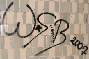 WSB 2007