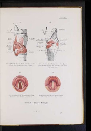 Musculi et Mucosa laryngis.