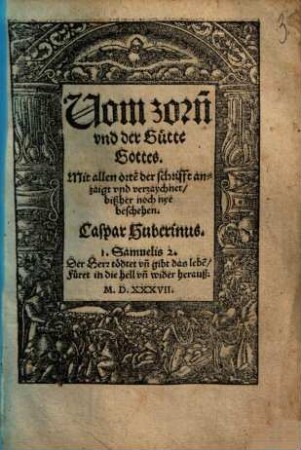 Vom zorn[n] vnd der Gütte Gottes : Mit allen orte[n] der schrifft anzaigt vnd verzaychne,t bißher noch nye beschehen ...