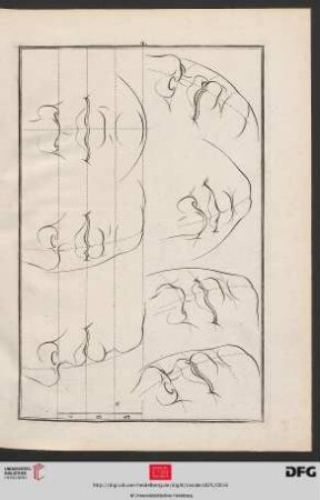 Taf. 4 [Untere Gesichtspartie (Proportionen; Kontur)]