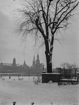 Dresden. Blick vom Neustädter Elbufer zur Altstadt