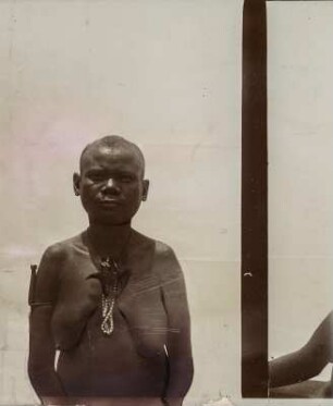 Frauenportrait : Anthropometrische Aufnahme einer Frau