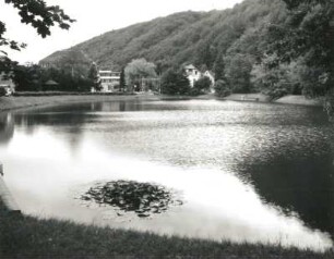 Tharandt. Schlossteich. Blick über den Teich nach Südwesten