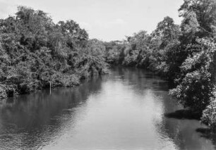 Der Rio Aguapehy : Blick entlang des Rio Aguapehy. Am Ufer dichte Vegetation.