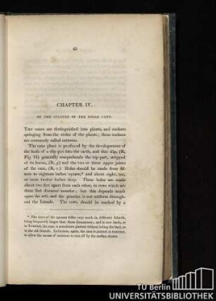 Chapter IV. On the culture of the sugar cane