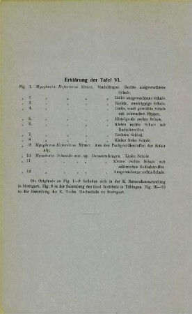 Erklärung der Tafel VI