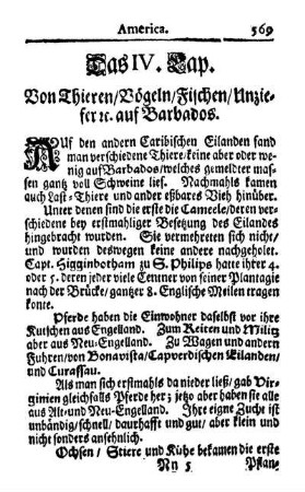 Das IV. Kap. - Von Thieren-Vögeln-Fischen-Ungeziefer etc. auf Barbados.