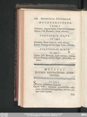 Musculi Motibus Respirationis Inservientes.