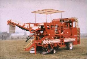 Fotografie: Gartenbautechnik-Freiland, Erntetechnik, Tomate