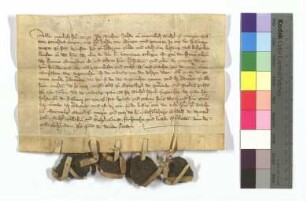 [Text = U / 1368 Januar 11]. Mit Eid besagt vor Rorich von Sterrenberg, Kämmerer, Schultheiß Rudolf, der das Urteil gab, und den Richtern Willekin und Konrad. "Publicatum 1368 feria quinta ante dominicam Letare".