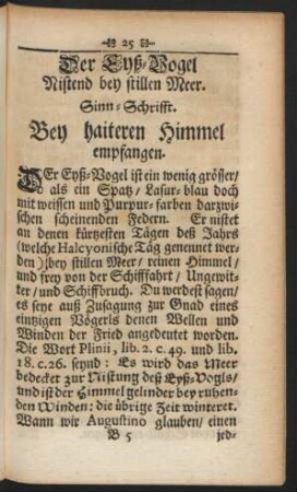 Der Eyß-Vogel Nistend bey stillen Meer