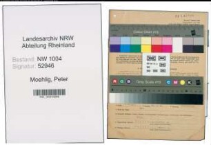 Entnazifizierung Peter Moehlig , geb. 19.01.1904 (Kaufmann)