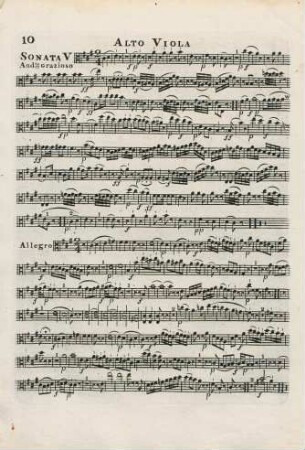 Alto Viola