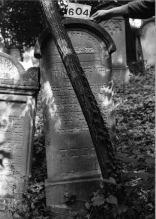 Grabstein 604 (Index: 99802872) Material: Sandstein Zustand: im Rundbogen verwittert/Textverlust Maße HxBxT: 150x55x12 cm Beschreibung: Sockel, Stele mit eingezogenem verdachten Rundbogen Besonderheit: längerer Text, Endreim: Grabstein 604