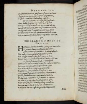 Kapitel IV