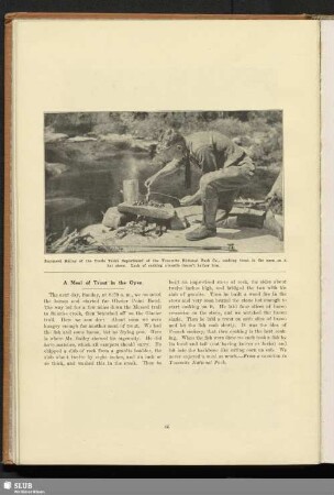 A meal of trout in the open