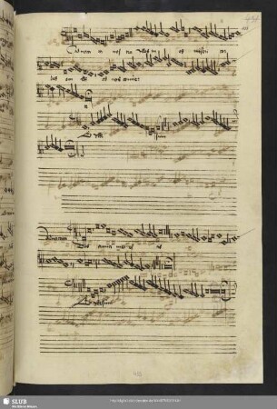 [Martini, Johannes: Salve regina]