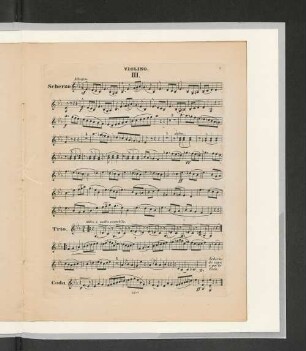 III. [Scherzo.]