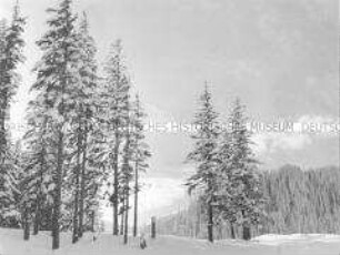 Landschaft bei Zakopane in der DDR-Wintertourismusregion Hohe Tatra (Karpaten) in Polen
