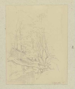 Umgestürzter Baum an einem Bach, rechts ein Zaun