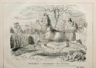 Borugham - a celebrated old hunter