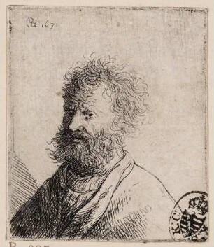 Mann mit struppigem Bart und wirrem Haar